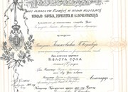 Указ, Краљевски орден Белог орла - петог ( V ) реда